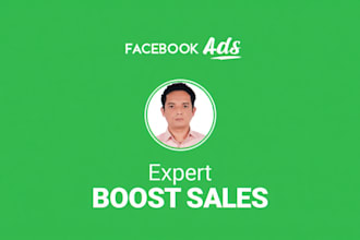 setup and manage fb and ig ads campaign to increase sales