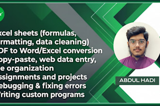 do excel, data entry, c plus plus and python programming