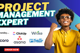 setup monday asana trello jira zoho clickup scoro coda project management expert