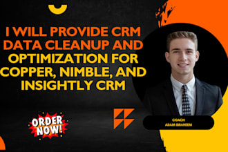 provide crm data cleanup and optimization for copper, nimble, insight