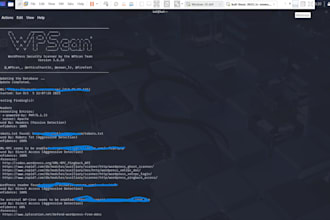 do vulnerability assessment and penetration testing  report