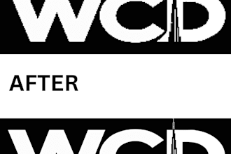 recreate vectorize or modify your logo using illustrator