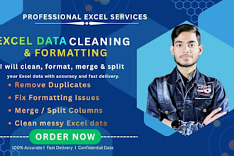 clean, format, merge, and split excel data professionally