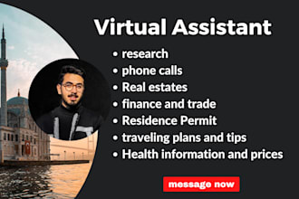 do a professional virtual assistance in istanbul, turkey