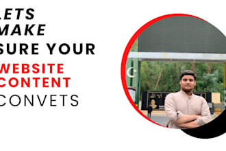 professionally write your website to boost sales