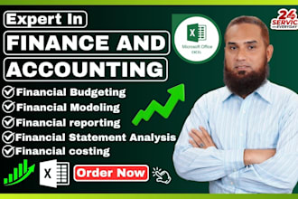 do financial budgeting, costing, accounting, modeling and reporting in excel