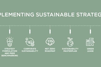 create a sustainability strategy and net zero roadmaps