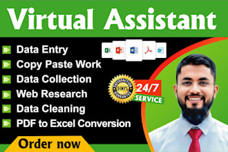 be your expert administrative virtual assistant for all data tasks