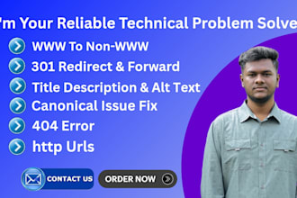 fix 301 redirects and forward, 404 broken links and canonical errors, www issues