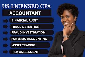 perform forensic accounting reports , detect financial fraud financial auditing