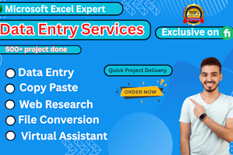 do data entry, copy paste, web research, data scraping, email leads, data entry
