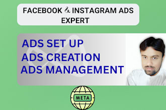setup facebook and instagram ads campaign, meta ads expert