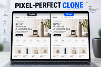 clone, copy or replicate any shopify dropshipping store