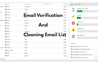 do email verification and email list cleaning 100k in 24 hours
