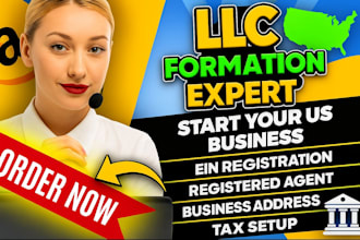 professional US llc and UK ltd company formation services