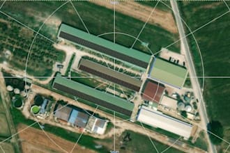 gig