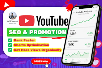 do youtube SEO, video optimization and shorts promotion for fast growth