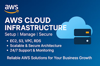 setup and manage AWS cloud infrastructure