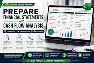 prepare financial statements and cash flow analysis