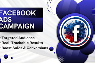do professional facebook ads setup for more leads and sales