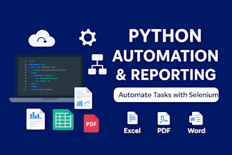 build custom python automation and reporting solutions for your business