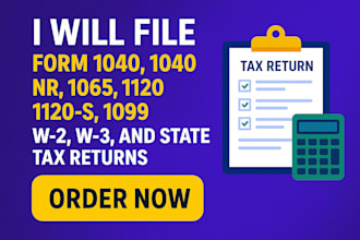 file form 1040, 1040nr, 1065, 1120 or 1120s,1099 series,w2,w3,state tax returns