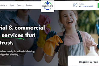 pressure washing, lawn care, christmas lighting or window cleaning website