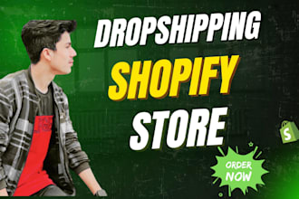 create a professional and high converting shopify store or dropshipping website