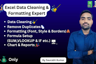 clean, organize, and format your excel data professionally