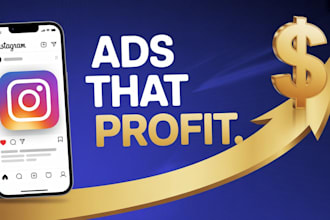 set up and manage high roas facebook and instagram ads campaigns
