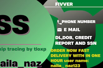 do social number ,social security number ,dl number and mvr