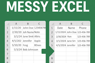 clean, format, and organize your excel or CSV data professionally