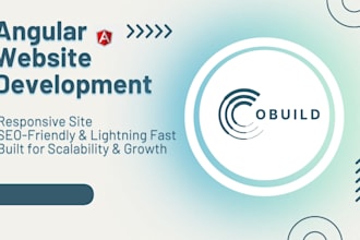 develop a professional angular website or web app