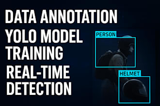 train a custom yolo model for your object detection project