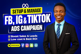 setup facebook meta ads, instagram ads campaign, tiktok ads for shopify store