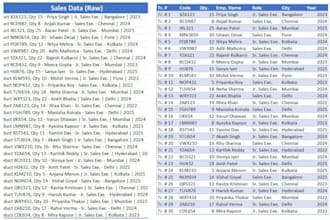 do professional excel data cleaning, formatting,and organize
