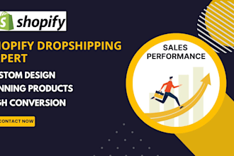 build and market a profitable shopify dropshipping store