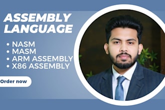 write and debug efficient assembly language code for your project