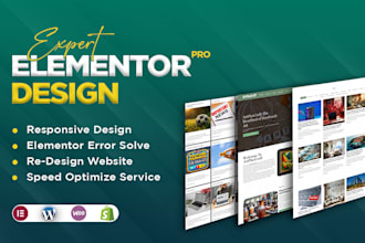 design elementor pro website