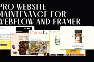 provide webflow and framer website maintenance