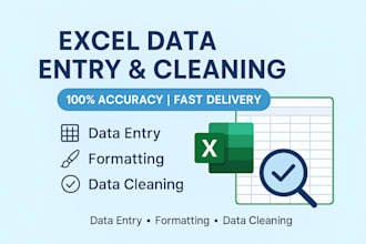 do accurate excel data entry