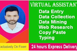 do data entry, data scraping, pdf to excel data entry