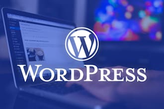 create a professional wordpress showcase website