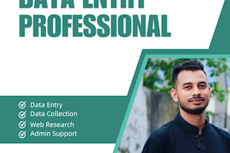 do professional data entry