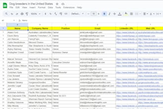 do targeted b2b lead generation with verified email leads
