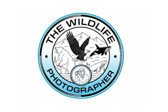 create exclusive and marvelous wildlife logo design