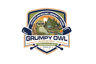 create attractive and imagination owl logo design