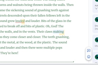 proofread formats from chapter books to novella