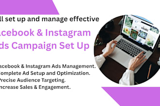 do facebook and instagram ads campaign setup and optimize