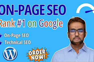 do on page SEO optimization service for google first page ranking